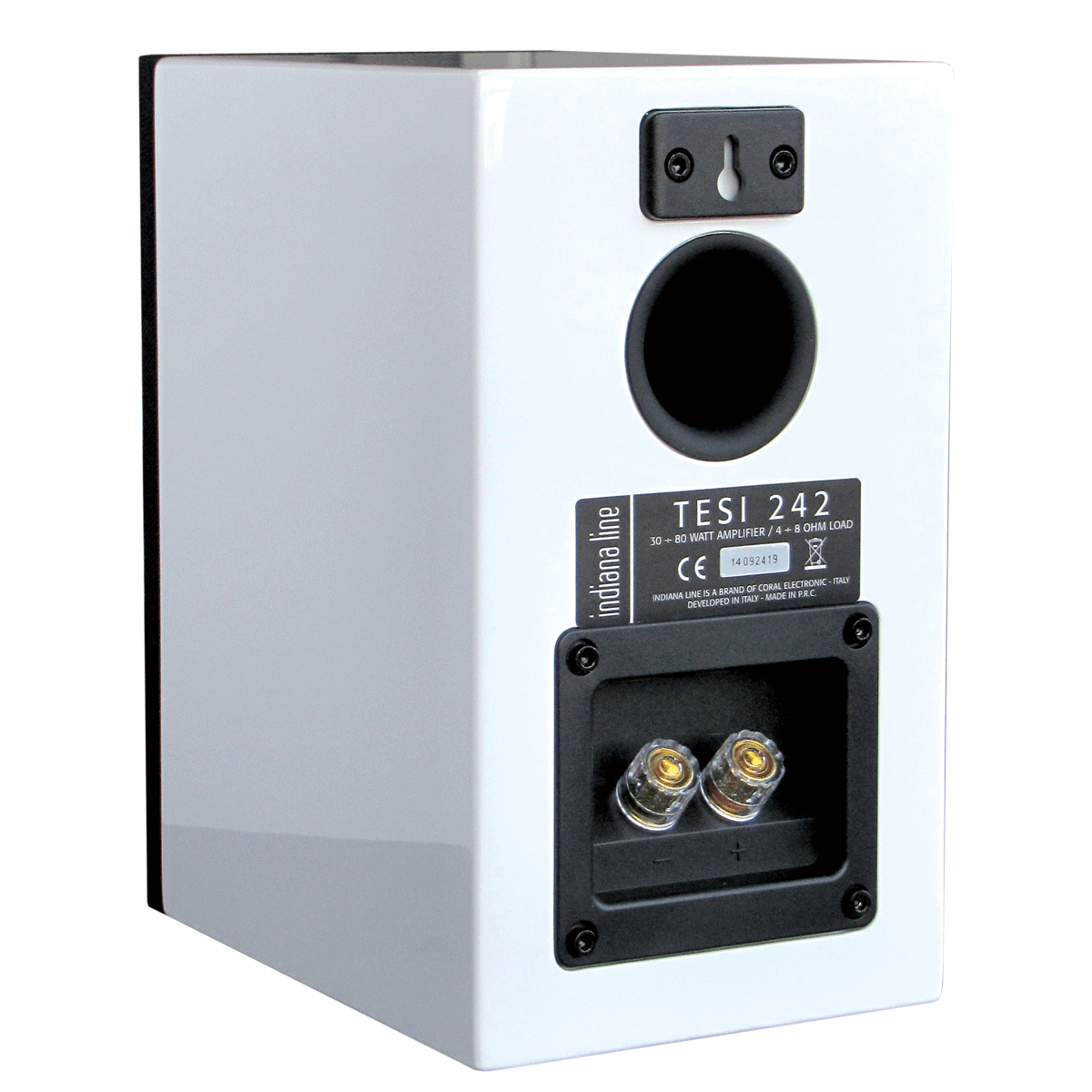 TESI-242-LB-Rear-1200-1200